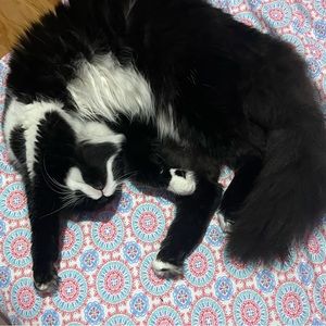 Meet your Posher, Parttime